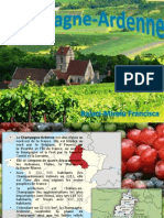 Champagne Ardenne Proiect Franceza
