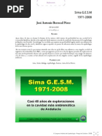 01.Sima GESM Berrocal