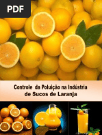 Controle Da Poluição Na Indústria de Sucos