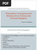 Principios y Componentes Básicos de La Evaluación Psicopedagógica