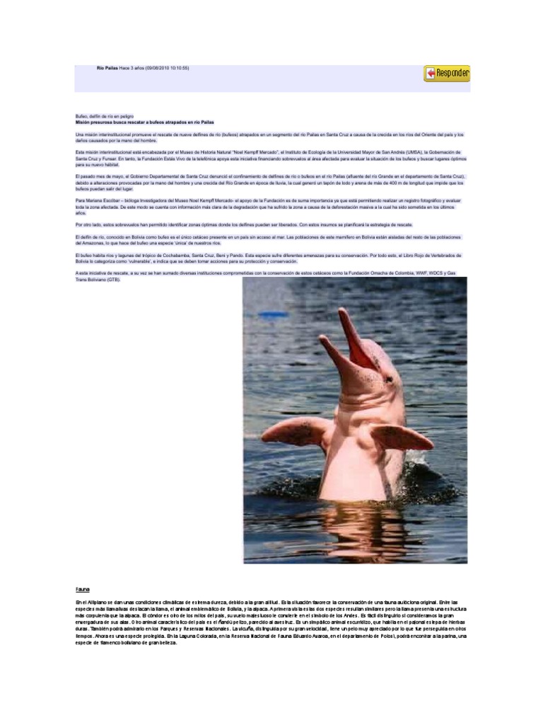 Papel pintado fotográfico de lagos y aguas, image size:768x1024