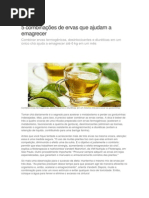 ervas para emagrecer.docx