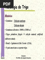 Aula 3 - Trigo
