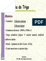 Histórico e classificação do trigo