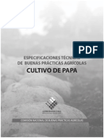 Cultivo de Papa