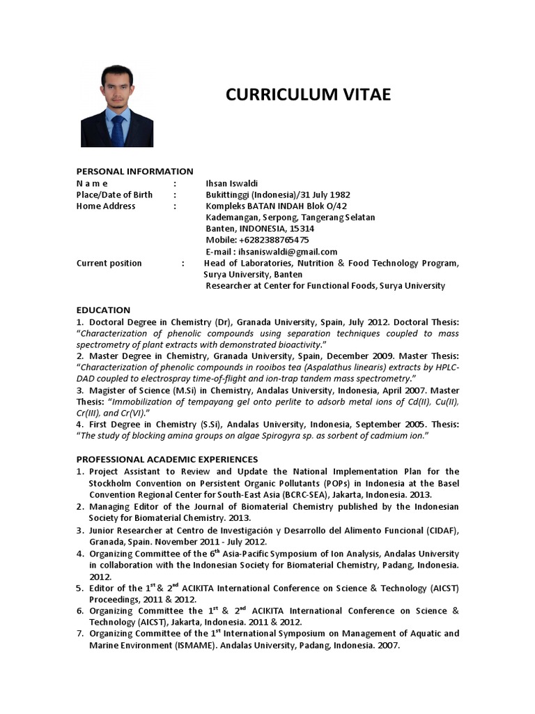 Curriculum vitae sample pdf image