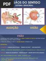 Escolas Idaam - Os Sentidos - Visão