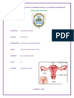 Informe Cancer Uterino