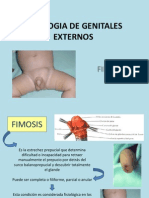 Patologia de Genitales Externos