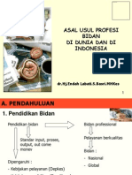 Asal Usul Profesi Bidan