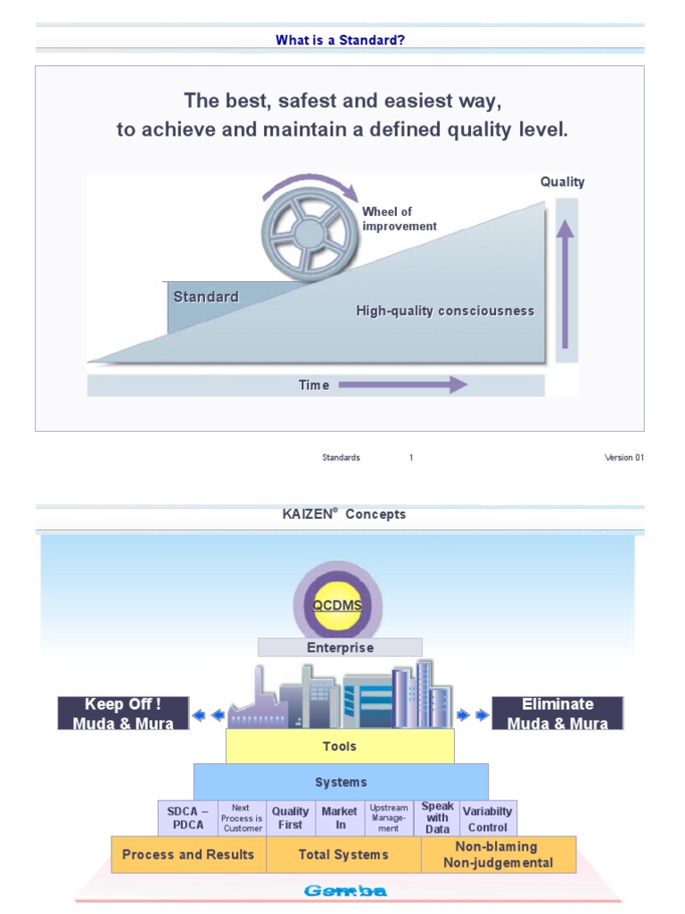 Standardization Basics-24 Jul 09 | PDF | Audit | Standardization