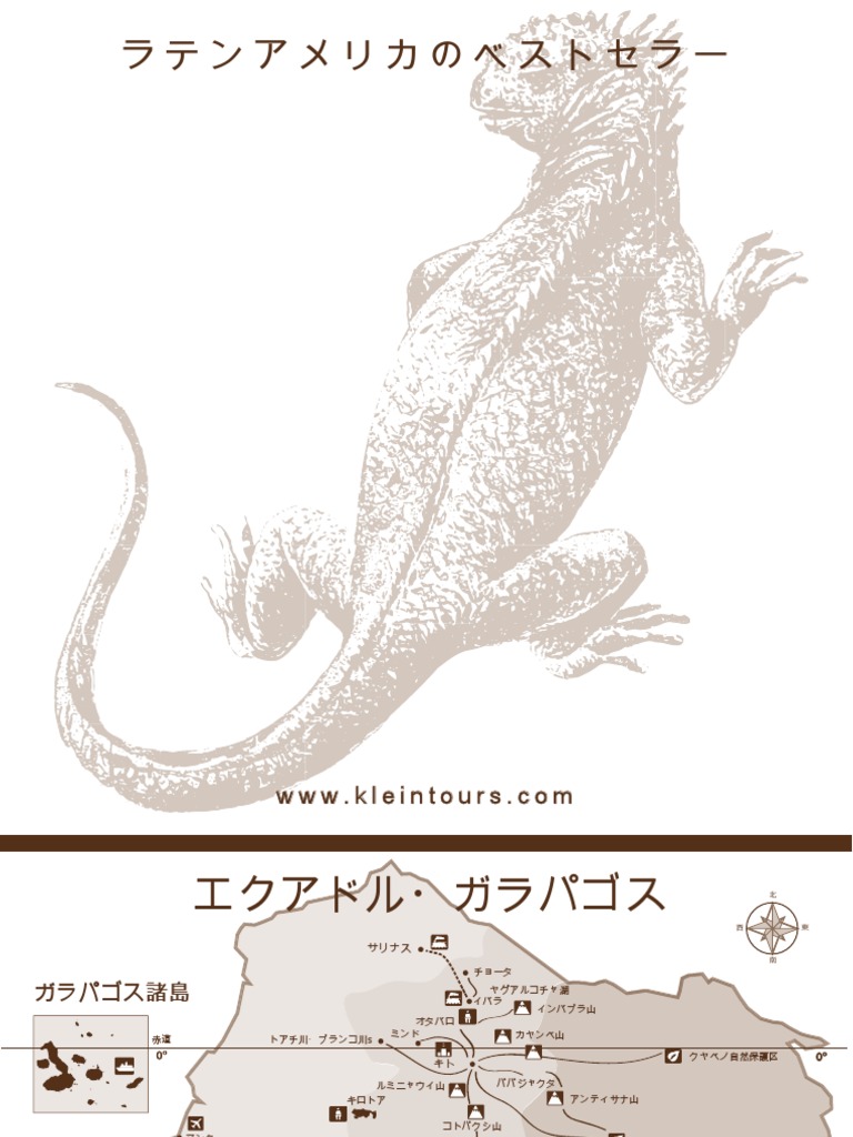 Best Sellers Japones Pdf