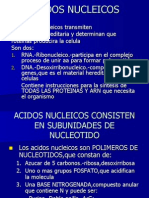 Acidos Nucleicos