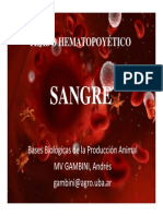 Clase 4 Sangre Comision I