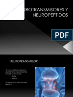 Neurotransmisores y Neuropeptidos