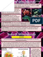 Tema 9 Micromundo