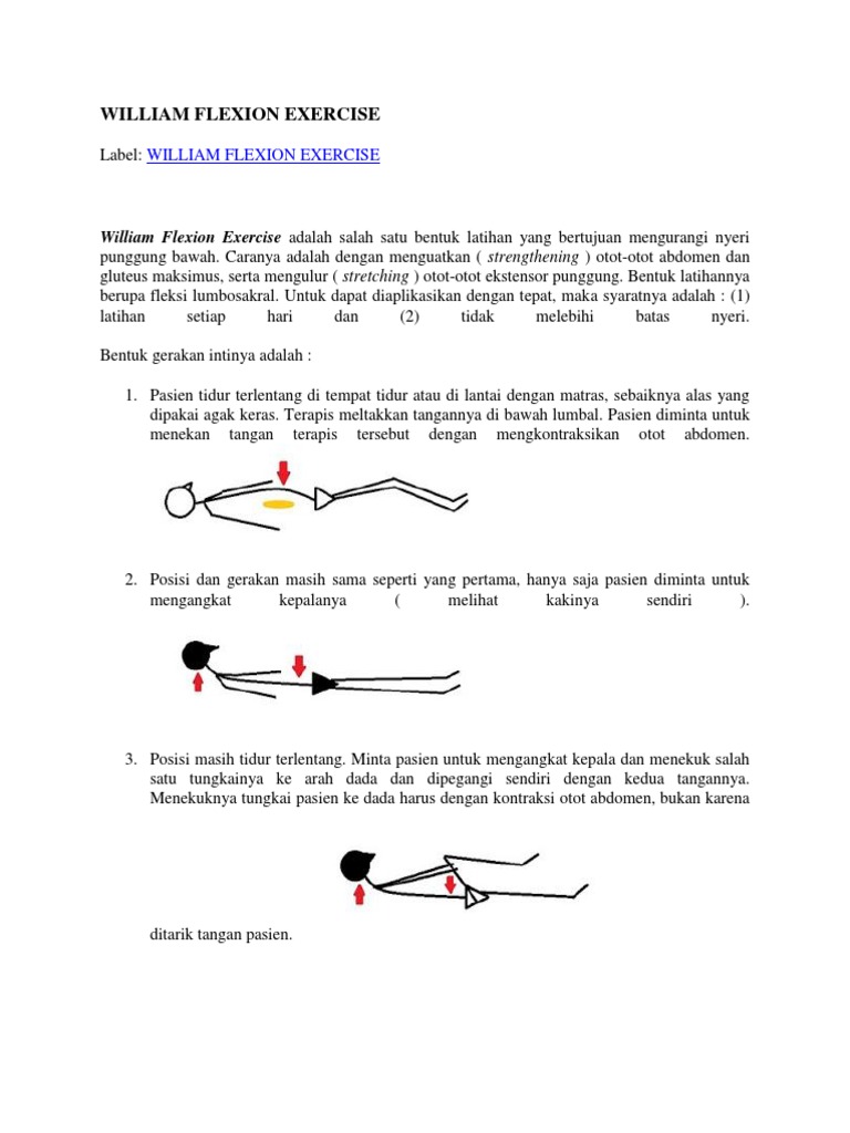 William Flexion Exercise Pdf