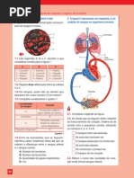 Teste Sistema Circulatório