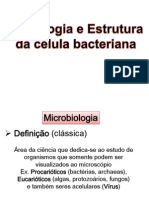 Aula Morfologia Bacteriana