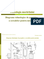 Curs 7 Morarit