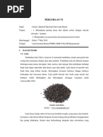 Download Perc 6 Isolasi Alkaloid Piperidin Dari Lada Hitam FIX by Sri Argarini SN226727560 doc pdf