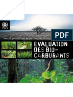 Towards Sustainable Production and Use of Resources: Assessing Biofuels - Summary (French)