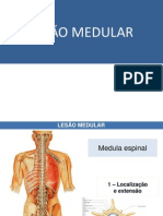 LESÃO MEDULAR Parte 1