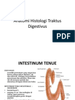 Anatomi Histologi Traktus Digestivus