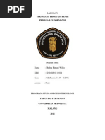 Download Laporan IV Pemecahan Dormansi by Willis Rinjani SN226784223 doc pdf