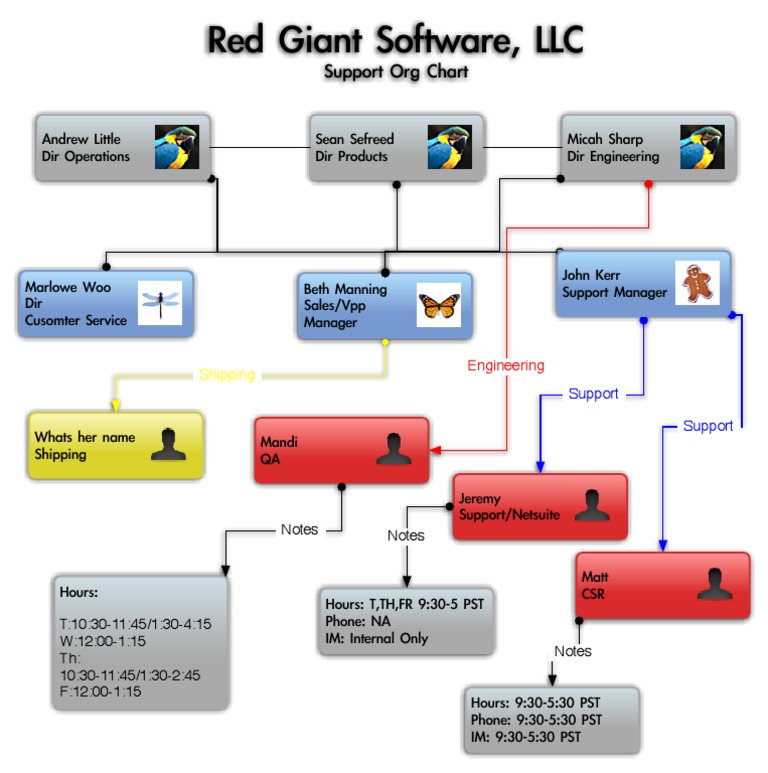 Netsuite Support Org Chart | PDF