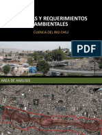 Etapa IV : Medidas y Requerimientos Ambientales - CUENCA RIO CHILI