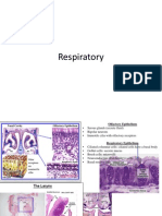 Histology Exam IV Review Part 1