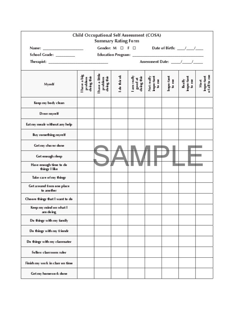 Child Occupational Self Assessment Guide | PDF