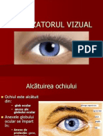 ANALIZATORUL VIZUAL