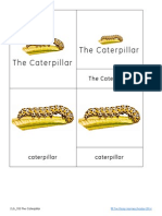 The Caterpillar Nomenclature and Definition Cards