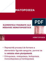 hematopoieza