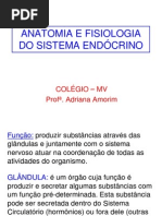 8SISTEMA ENDÓCRINO
