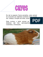 CUYOS