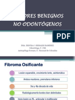 Tumores Benignos No Odontogenos - 3