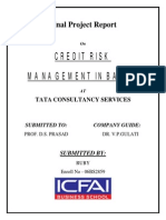 22845761 Credit Risk Management