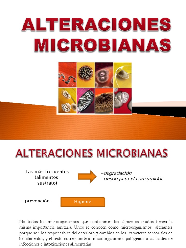 Microorganismos que alteran alimentos | PDF | Las bacterias | Alimentos