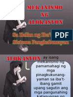 Alokasyon