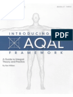 Introducing the AQAL Framework