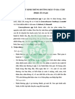 bệnh ký sinh trùng đường máu trên gà ok PDF