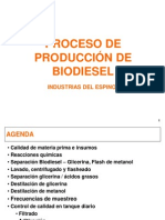 Proceso de Producción de Biodiesel