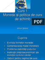 Curs 1 Moneda Si Politica de Curs de Schimb PDF