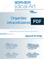 Organites Intracellulaires