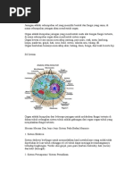 Download tugas biologi by Rhiri29 SN22695037 doc pdf