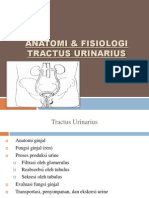 Tractus Urinary