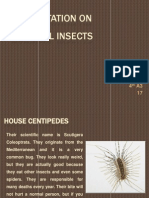 Presentation On Harmful Insects: Presented by Harji Singh 4 A3 17